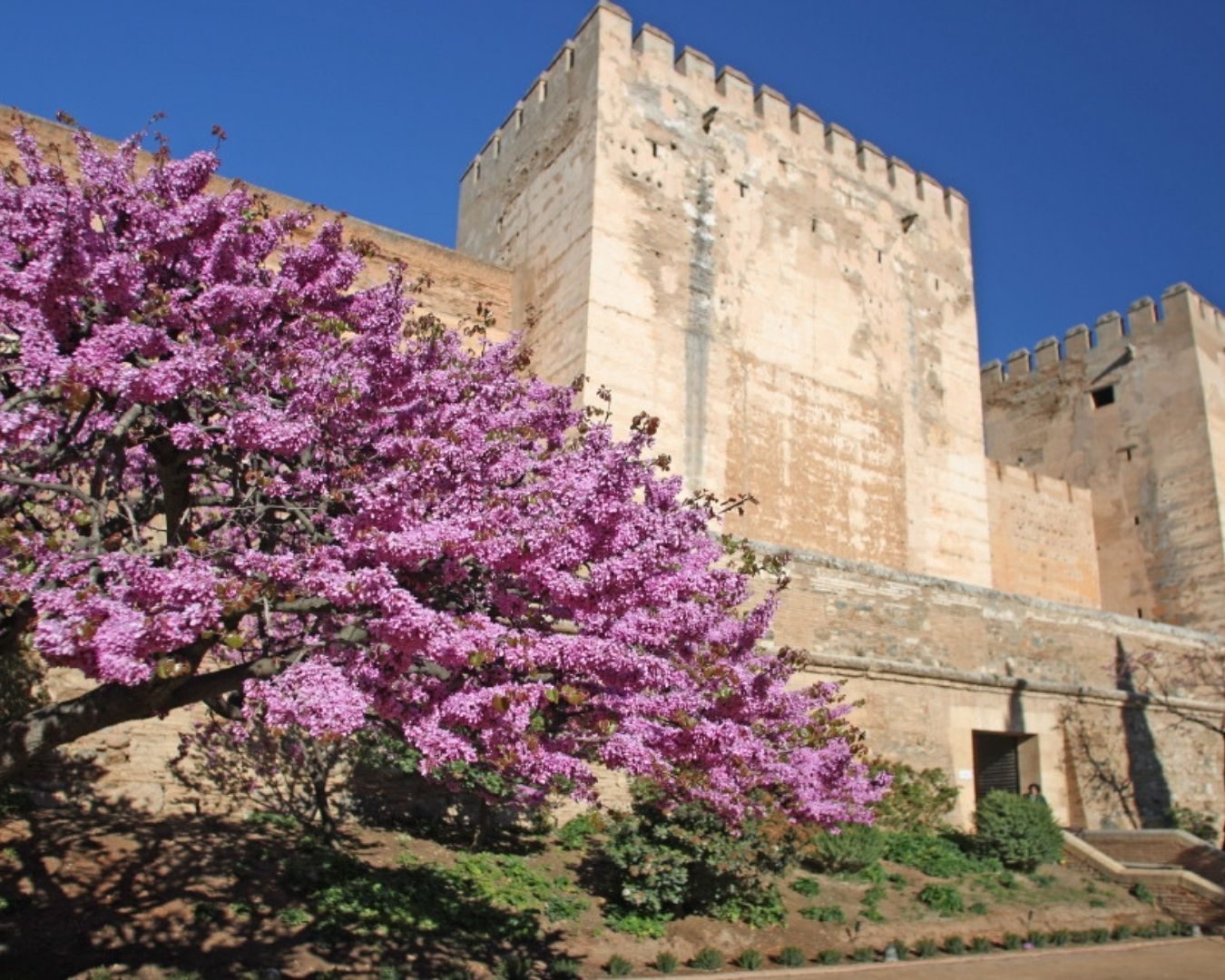 Gardens of the Alhambra and Alcazaba with Audio Guide 3
