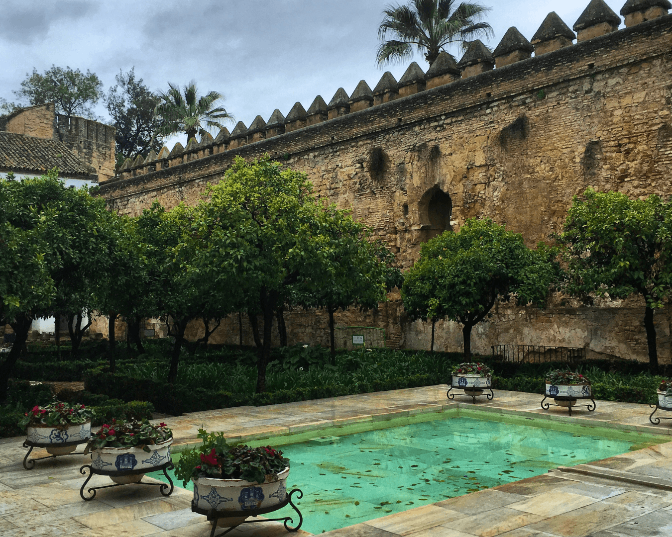Day Trip to Córdoba from Granada with Expert Local Guide 3