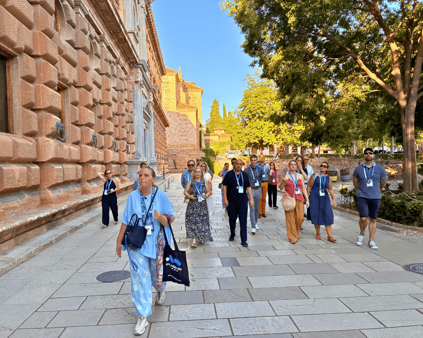 Book an expert guide at the Alhambra for your group. Tickets not included. 3