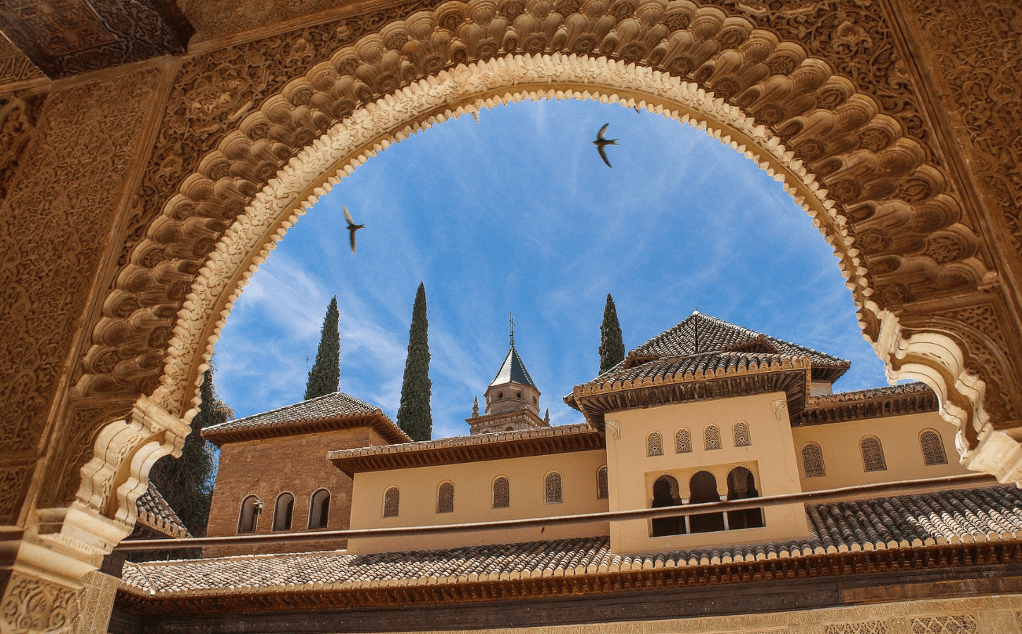 Excursion to the Alhambra from Motril. Guided tour with no waiting and tickets included 3