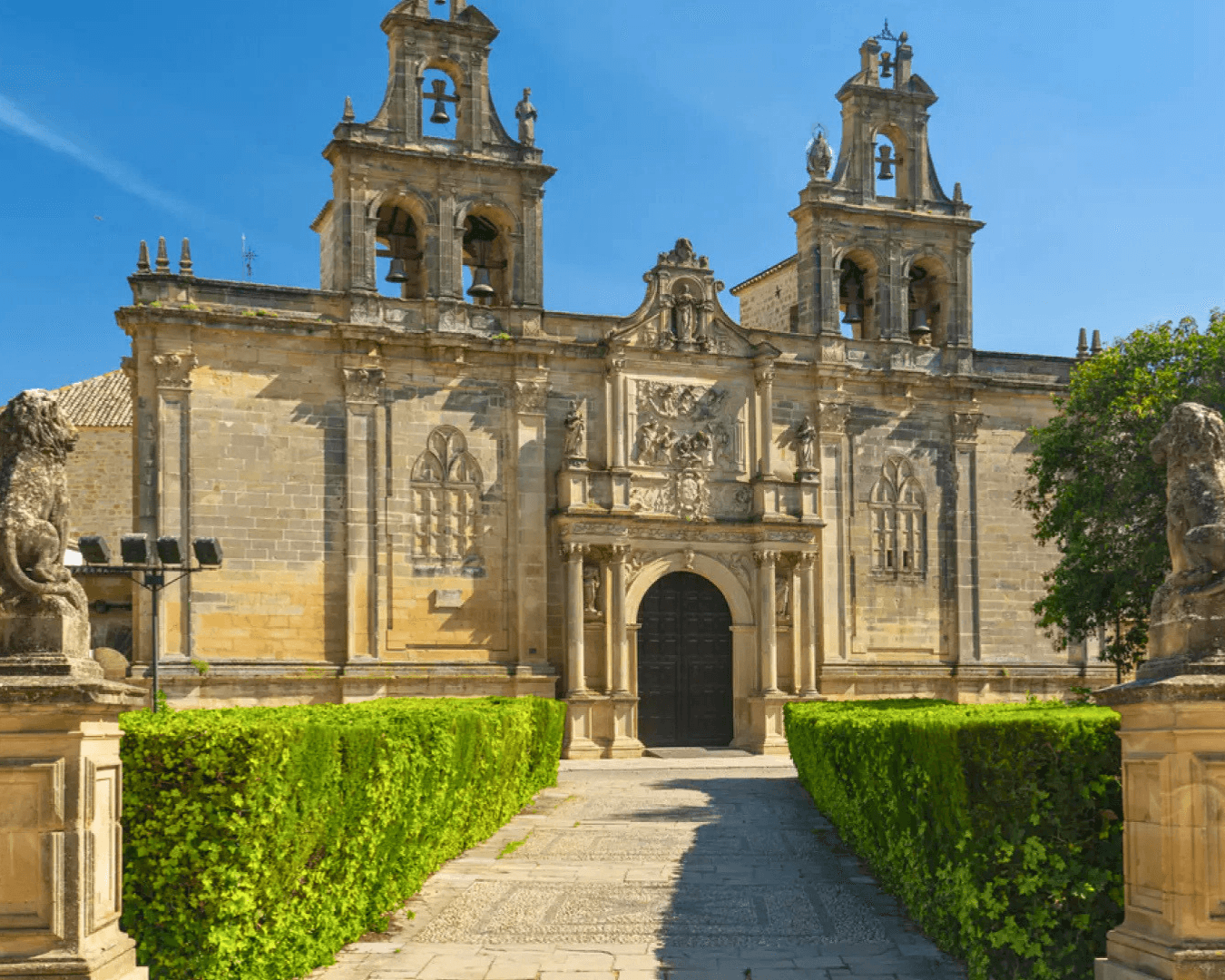 Day trip to Úbeda and Baeza from Granada. 3