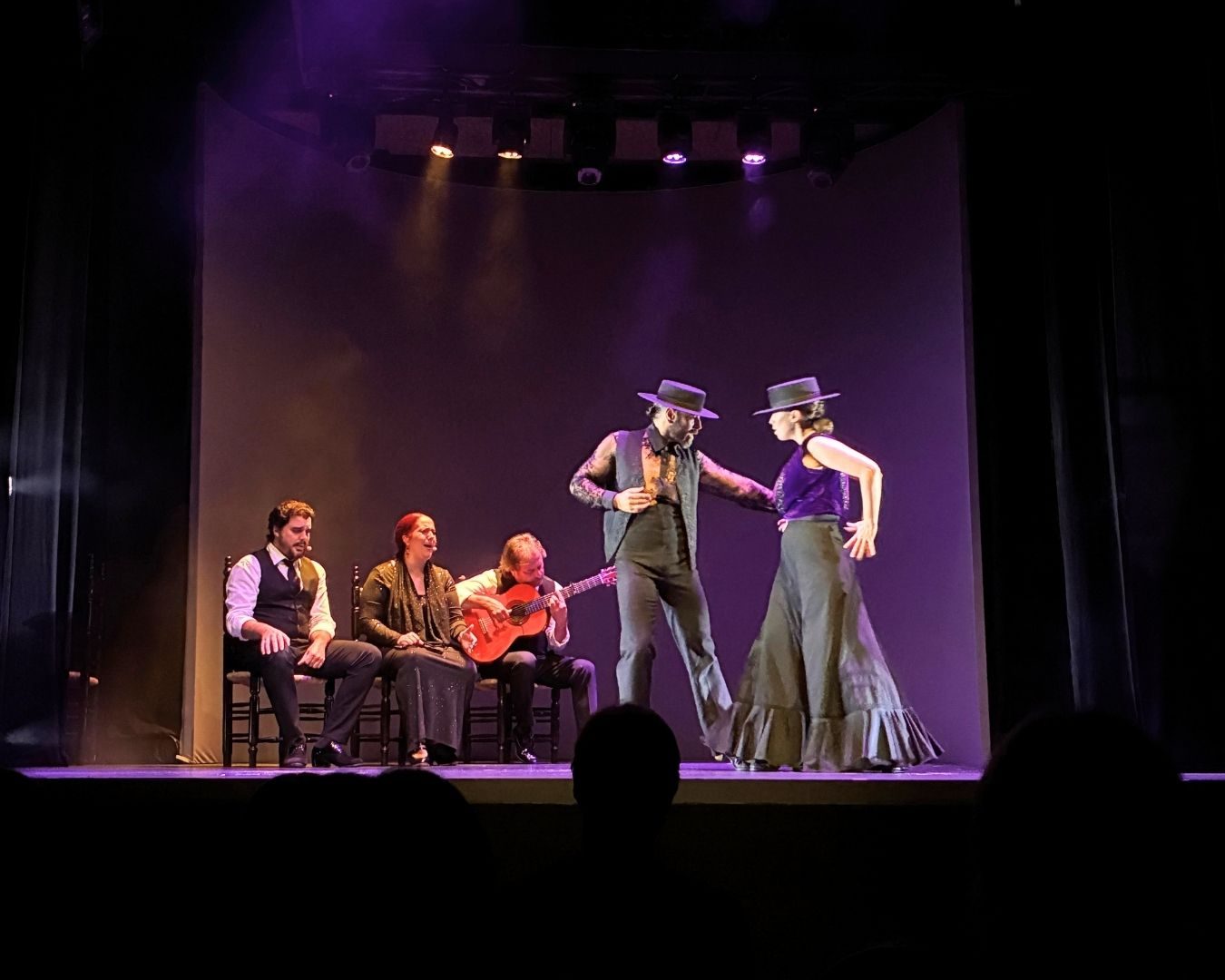 Flamenco Show at Teatro Flamenco Granada in Campo del Príncipe 2