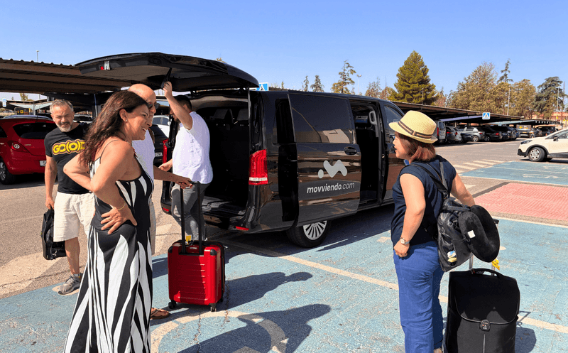 Private minivan transfer to Granada Airport, up to 7 passengers