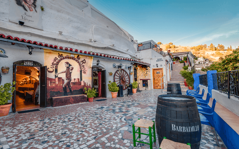 Spettacolo di flamenco nella Grotta La Rocío (Sacromonte) 3