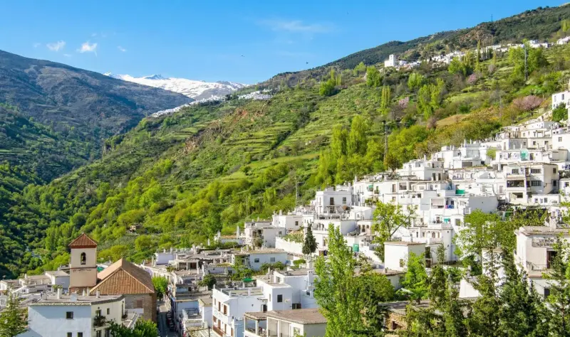 Savor the authentic alpujarreño dish in Capileira on a route through the heart of La Alpujarra 
